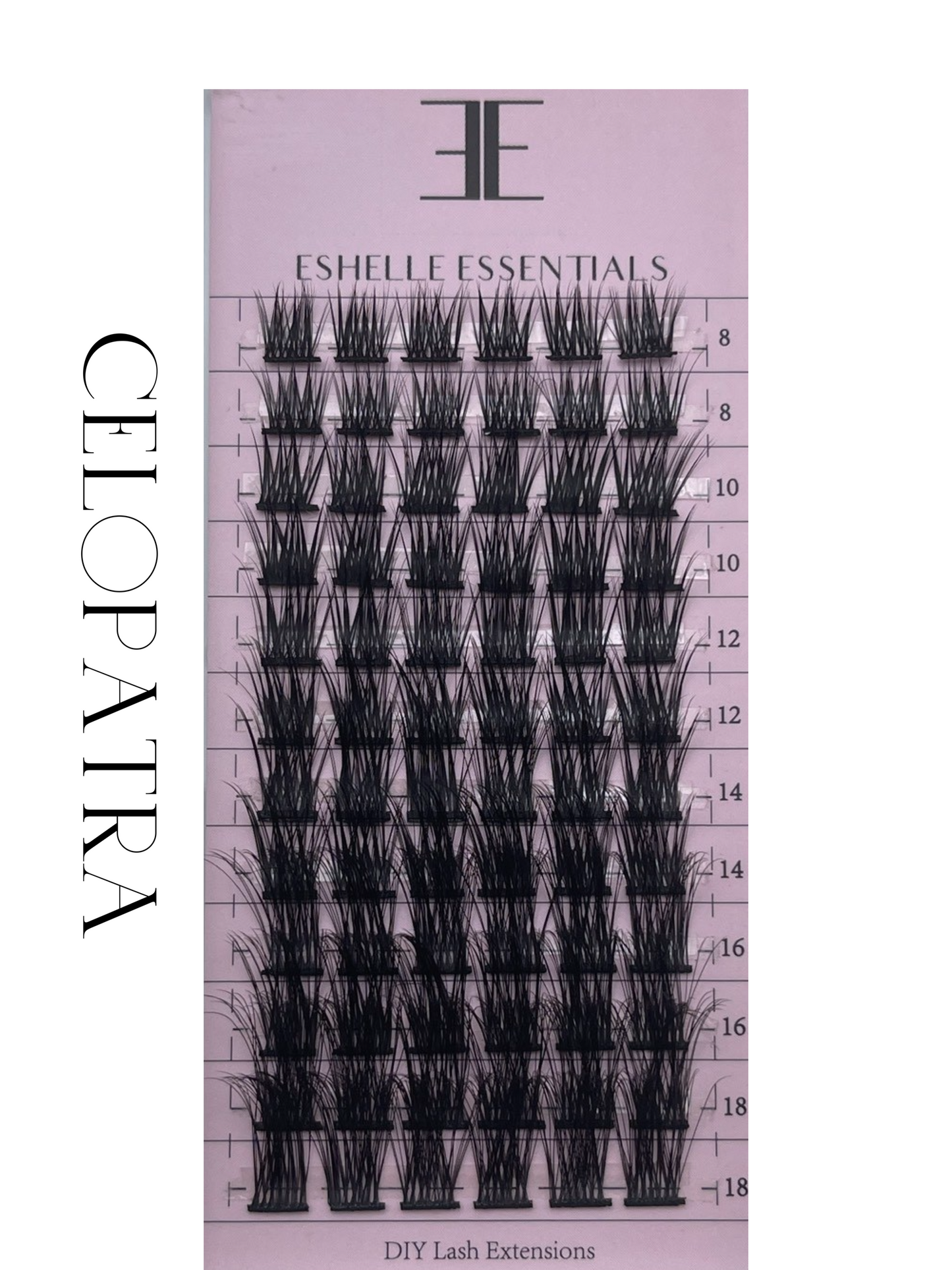 Mini Lash Book