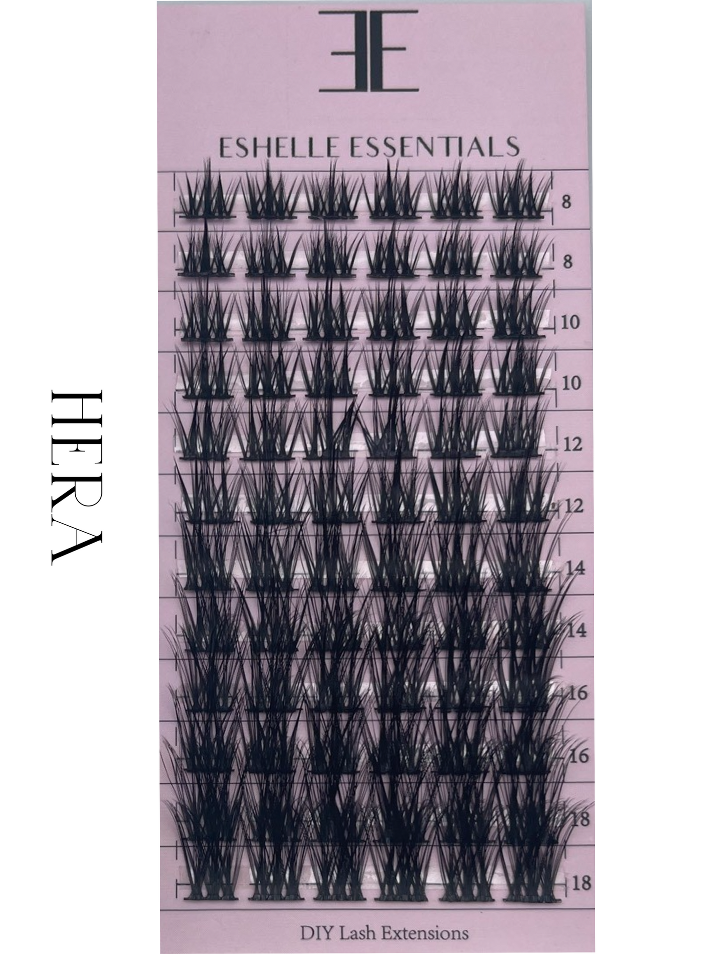 Mini Lash Book