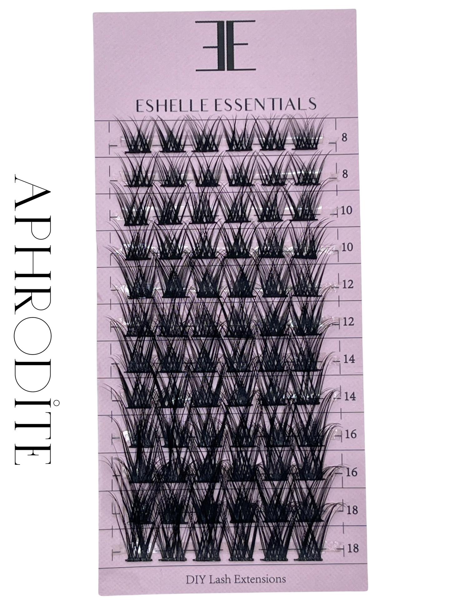 Mini Lash Book